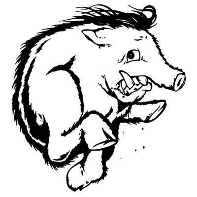 Boar Hog